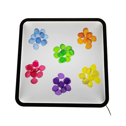 edxeducation Tactile Shells, Set of 72, Translucent, Ages 18m+