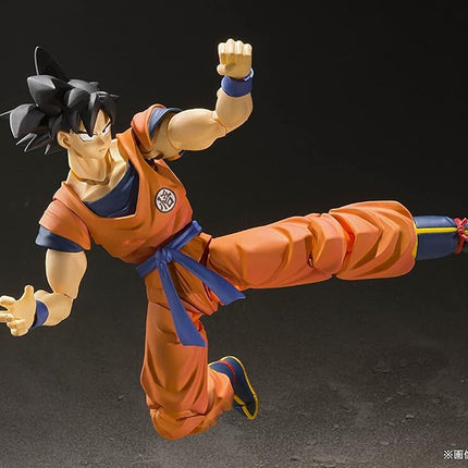 TAMASHII NATIONS Bandai BDIDB208778 Articulated Figure, Manga, Anime, Multicolor