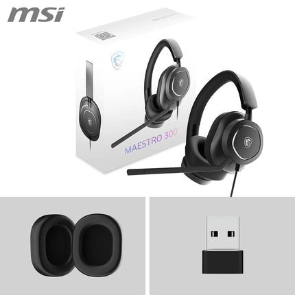 MSI Maestro 300