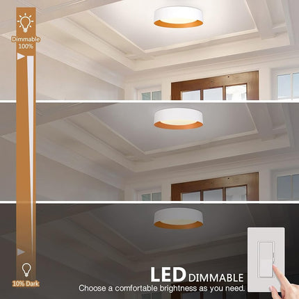 Bargeni 16.5 x 3.1 Inch Modern Matte White & Gold Dimmable LED Flush Mount Ceiling Light, 30W/3000K Warm White, Multi-Purpose Room