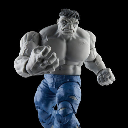 Marvel Hasbro Legends Series Gray Hulk and Dr. Bruce Banner, Avengers 60th Anniversary Collectible 6 Inch Action Figures