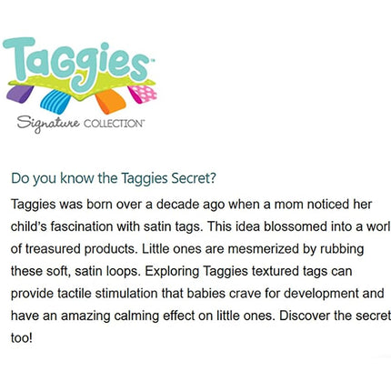 Mary Meyer - Taggies Soft Book for Infants - Sherbet Lamb 6"