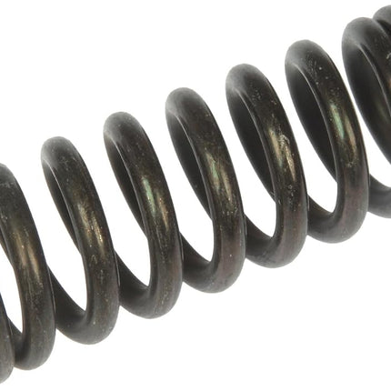 Dorman 38436 Door Hinge Spring