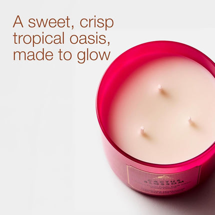 Bath & Body Works, bougie à 3 mèches White Barn avec huiles essentielles - 14,5 oz - Nouveaux parfums permanents ! (Fleur de cactus)