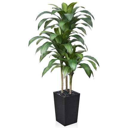 VeriNatural 5FT Artificial Dracaena Tree - UV Resi