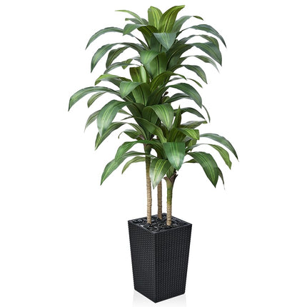 VeriNatural 5FT Artificial Dracaena Tree - UV Resi