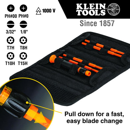 Klein Tools 32584INSR Precision 8-in-1 Screwdriver Set with Case, 1000V Rated Insulated Set with Phillips, Slotted and Tamperproof TORX Tips