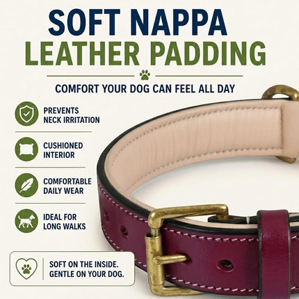Dowgclub Genuine Leather Basic Dog Collar, Full Grain, Comfortable, Padded, Best for Pups, Small, Medium, Large, XL Dog Breeds (L (Neck Size 18.5"-22.5"), Dark Pink)