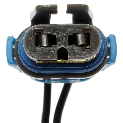 ACDelco Professional LS254 Headlamp Socket, Gray