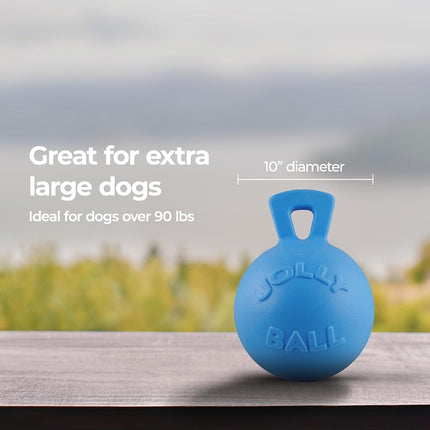 Jolly Pets Tug-n-Toss Dog Toy, 25 cm, Light Blue, Red