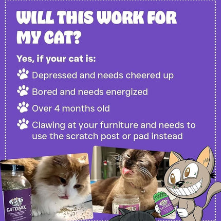 Cat Crack Organic Catnip, Premium Safe Nip Blend, Infused with Maximum Potency Your Kitty Will be Guaranteed to Go Crazy for! (1 Cup)