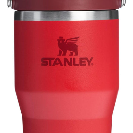 Stanley IceFlow 2.0 Straw Cup with Handle, 20 Ounc