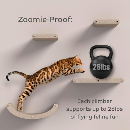 Cat Wall Shelves Set - Indoor & Outdoor by Pryde Pets