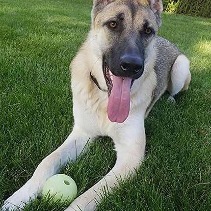 Chew King Glowing Fetch Ball, Dog Ball Toys, 2.5" 2-Pack Balls