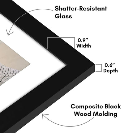 Americanflat 12x12 Picture Frame with Shatter-Resistant Glass - Use as 8x8 Frame with Mat or 12x12 Frame Without Mat - Signature Collection - Photo Frame for Wall Display - Black