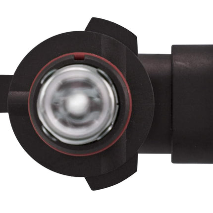HELLA (9005) 12V Bulb
