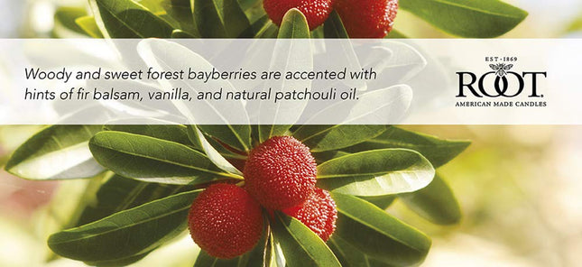 Root Candles Honeycomb Traveler Scented Beeswax Blend Candle, Bayberry 4 Ounce