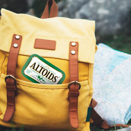 PASTILLES À LA MENTHE FORTE ALTOIDS, MENTHE VERTE, BOÎTES DE 49,90 g (LOT DE 12)