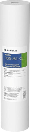 Pentek DGD-2501-20 Big Blue Sediment Water Filter,