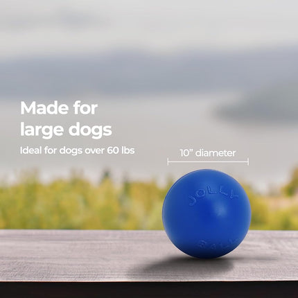 Jolly Pets Push-n-Play Dog Toy, 25 cm, Blue