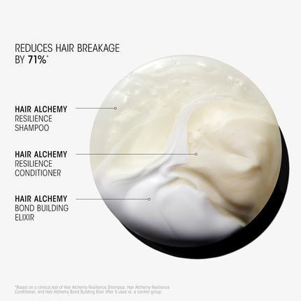 ORIBE Hair Alchemy Resilience Shampoo 250 ml