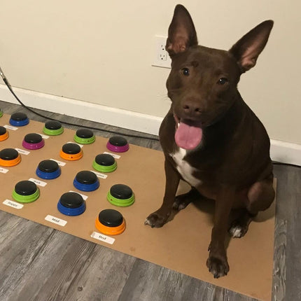 Hunger for Words Talking Pet Starter Set, Recordable Buttons for Dogs, Talking Dog Buttons, Teach Your Dog to Talk
