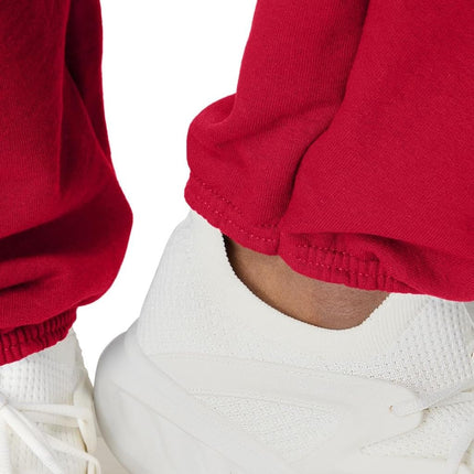 Hanes Men's EcoSmart Fleece Sweatpant, Deep Red, M
