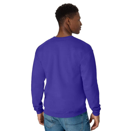 Hanes Men's EcoSmart Sweatshirt, Purple, S