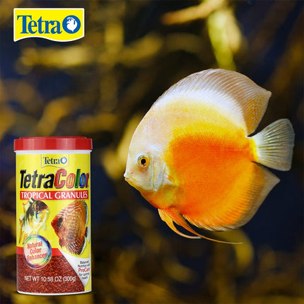 Tetra Tropical XL Color Granules Fish Food with Natural Colour Enhancer 300 g