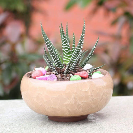 My Decor Succulent Plant Pot, 12 Pcs 2.5 Inch Ceramic Ice Crack Cactus Plant Pot/Flower Pot/Container/Planter