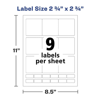 Avery Laser Diskette Labels 2 3/4" x 2 3/4" Single Pack (5196)