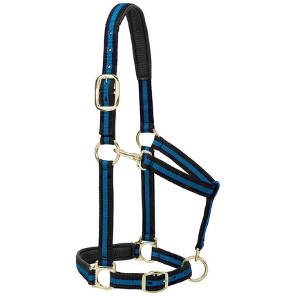 Weaver Leather 1" Small Horse/Weanling Draft Padded Chin & Throat Snap Halter, Blue, Adjustable