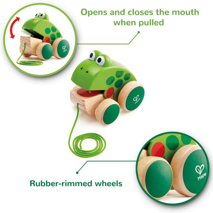 Hape Frog Pull Along | Wooden Frog Fly-Eating Pull Toddler Toy, Bright Colours