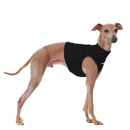 D Doggy Star Italian Greyhound Clothes Summer Cool