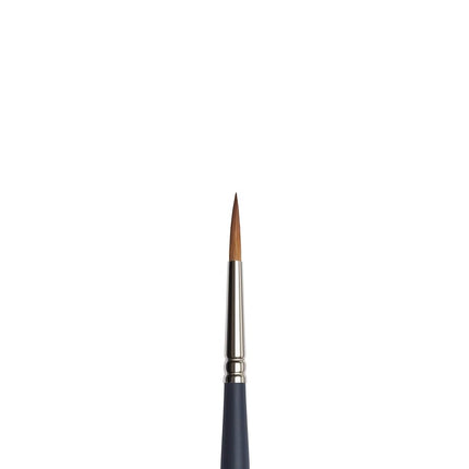 Winsor & Newton Professional Watercolour Brush, Gray, Rundpinsel-Nr. 6, Grey, 5011106