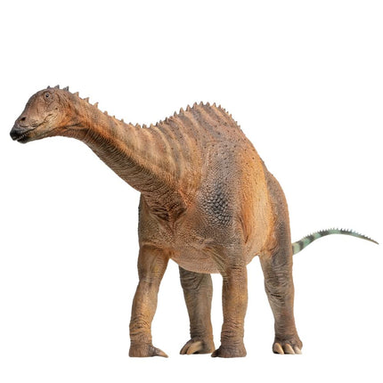 PNSO Prehistoric Dinosaur Models: (63 Chuanchuan T