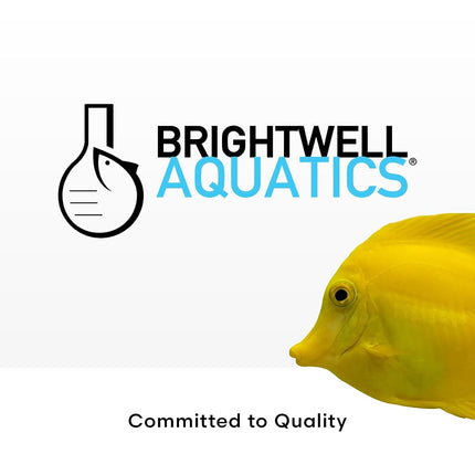 Brightwell Aquatics - NeoPhos - Balanced Phosphorus Source for Phosphorus-Limited, Low-Nutrient Reef Aquaria - Aquarium Water Treatments, 8.5 fl oz