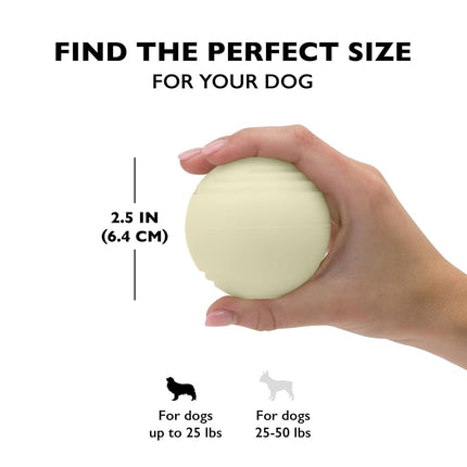 Chew King Glowing Fetch Ball, Dog Ball Toys, 2.5" 2-Pack Balls