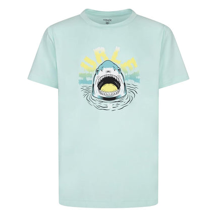 Hurley Boys Hrlb Ombre Icon UPF Rash Guard Shirt, 