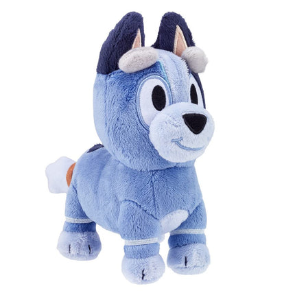 Bluey Friends Socks Plush