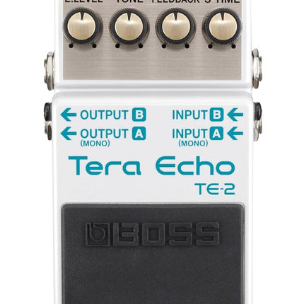 BOSS Te-2 Tera Echo Pedal with Multi-Dimensional P