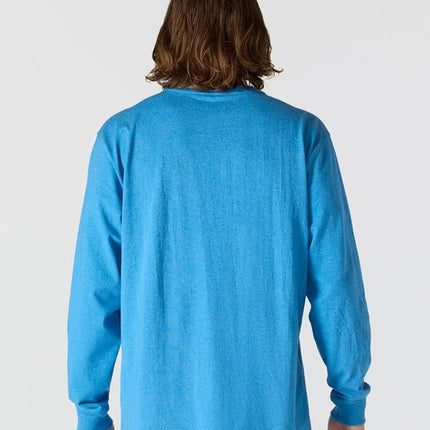Carhartt Men's Loose Fit Heavyweight Long-sleeve Logo Sleeve Graphic T-shirt, Horizon Blue Heather, XXXL Tall