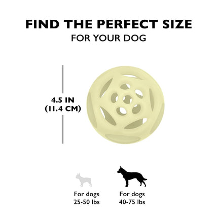 Chew King Large 2pk Lattice Glow Balls