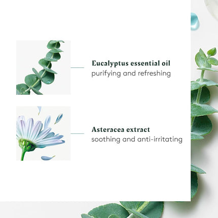 Rene Furterer Astera Head Spa Soothing Concentrate Freshness & Purity 50ml/1.6oz