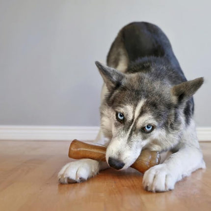 Nylabone Gentle Puppy Dog Teething Chew Toy Bone, Chicken Flavour, Extra Large, for Puppies 23 kg+ (Packing May Vary).