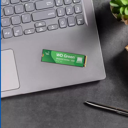 Western Digital 1TB
