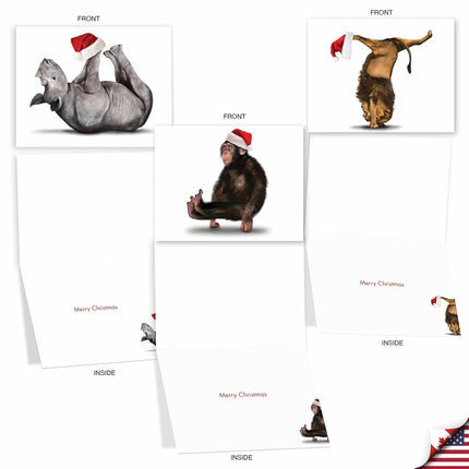 Yuletide Zoo Yoga Christmas Greeting Cards, Boxed Set of 10 Holiday Animals in Yoga Poses 4 x 5.12 inch, Assorted Yogi Animal Cards with Envelopes, Zoo Creature Christmas Notes, M6547XSG