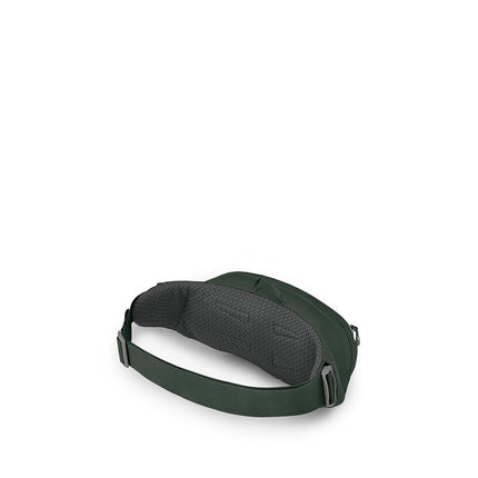 Osprey Daylite Unisex Waist, 2L, Green Belt/Green Canopy
