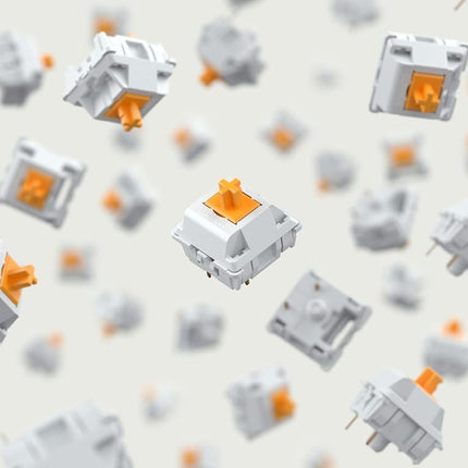 GLORIOUS Panda Tactile Mechanical Switches 36x (Unlubed)