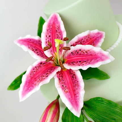 Katy Sue Flower Pro Lily Buds Silicone Mold for Cake Decorating (by Chef Nicholas Lodge for Designs)